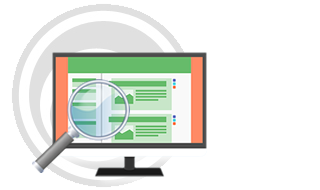 website quality manager